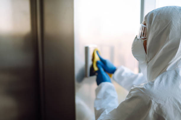 Best Mold Remediation  in Panacea, FL